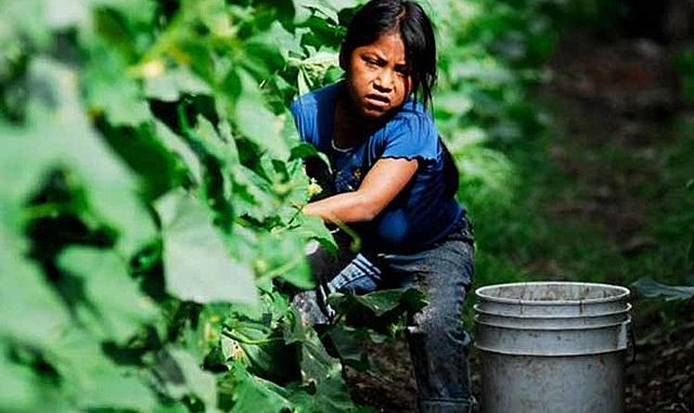 No al trabajo infantil