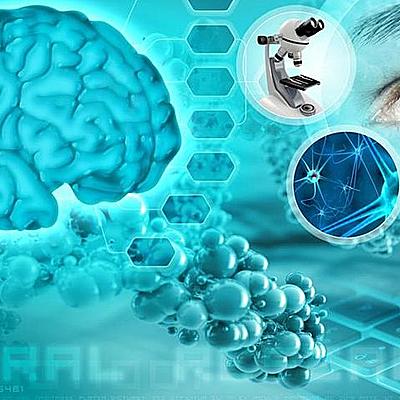 Timeline: La Neuropsicología en el tiempo