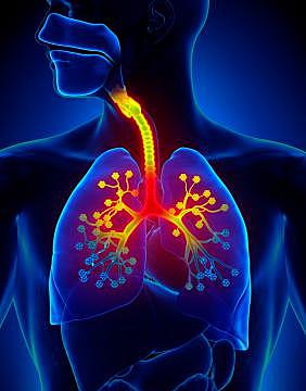 Enfermedades respiratorios