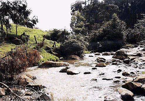 Plan de ordenación y manejo de Cuenca (POMCA)