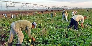 Producción de Alimentos Actual