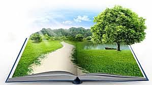 Educación ambiental