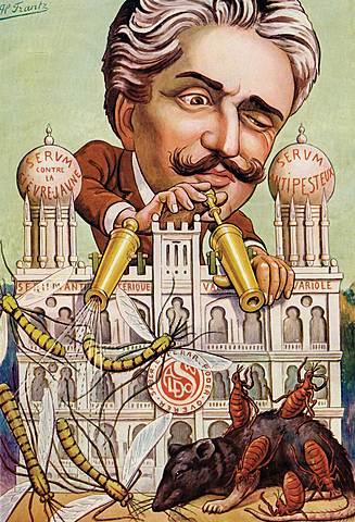 1904 - Reforma Oswaldo Cruz/ Revolta da Vacina