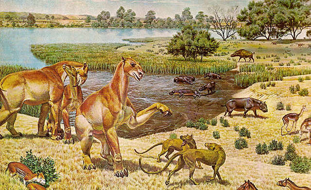 Kainosoikum ehk uusaegkond