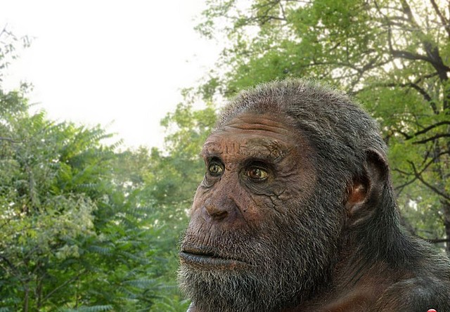 Inimeste vahetud eellaste ilmumine