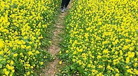 Timeline: Mi Niñez♥