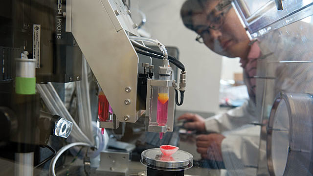 First Kindney grown in Vitro (glass)