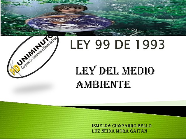 La ley 99 de 1993