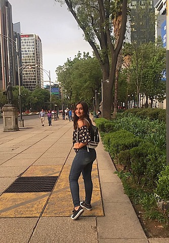 Viaje al Sur de México