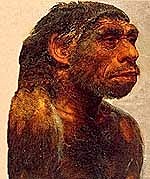 HOMO SAPIENS NEASDENTALENSIS 200 millones de años