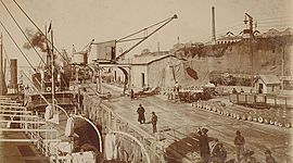 Timeline: Historia y evolución de logistica