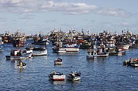 La Convención sobre Pesca y Conservación de los Recursos Pesqueros de Alta Mar