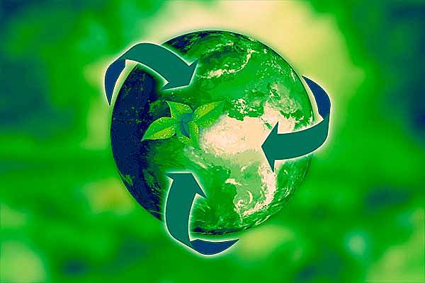 Inicio del Surgimiento del Ambientalismo