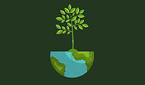 Indicador del desarrollo de gestacional