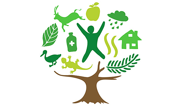 El desarrollo ambiental