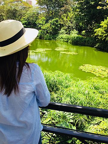 RURALES - BENÉFICOS