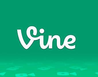 vine