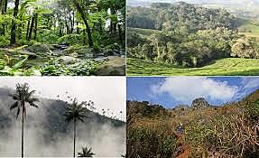 Se crea el Registro Único de Ecosistemas y Áreas Ambientales