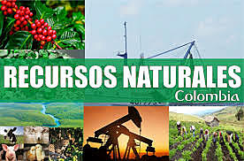 Licencias ambientales