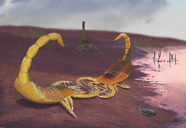 Esimesed maismaa loomad