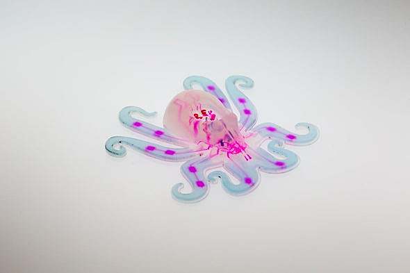 2016: Octobot