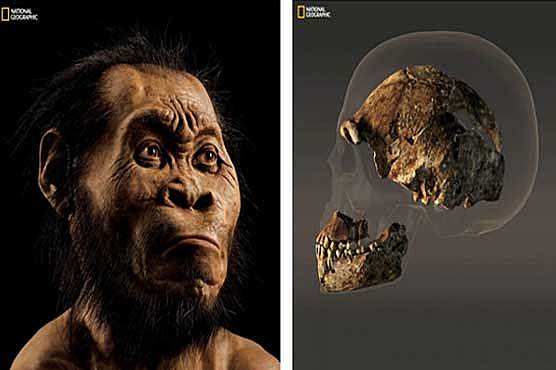 Inimese arengu algus