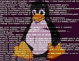 Linux kernel