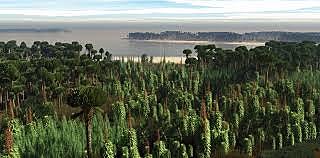 Devon - Esimesed metsad