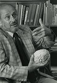 NORMAN GESCHWIND Y EL GRUPO DE BOSTON