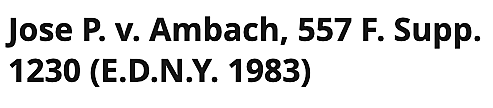 Jose P. v Ambach