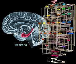 Telepatía artificial: Neurolink