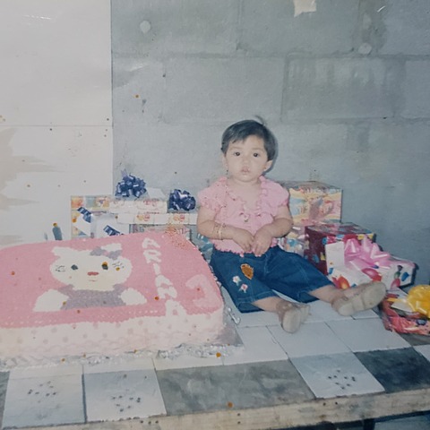 Mi primer año