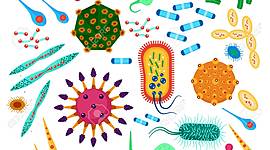 Timeline: Historia de la Microbiología (1850-1950)