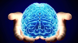 Timeline: La Neuropsicología en el tiempo