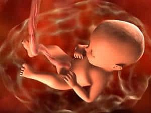 TERCER TRIMESTRE SEMANA 28