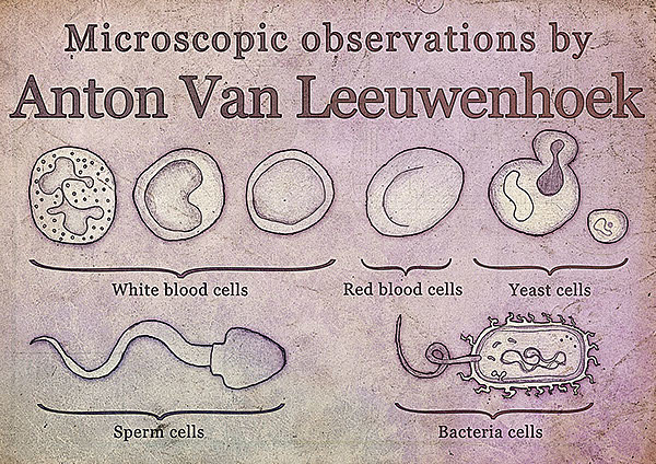 Anton Van Leeuwenhoek's microscope