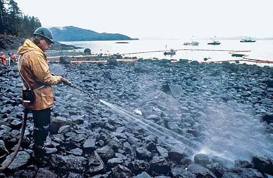 Exxon Valdez Oil Spill
