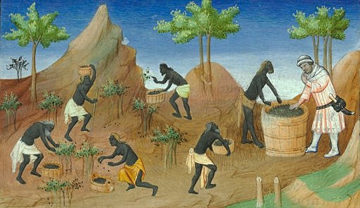 El origen de las Especias