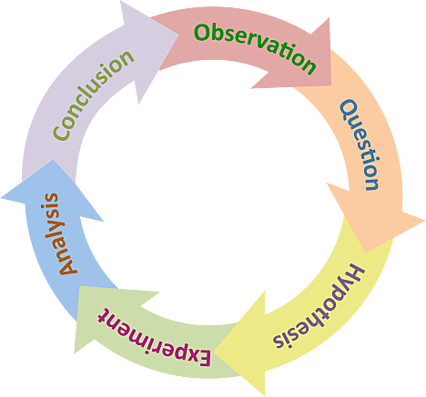 Scientific process