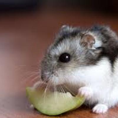 Timeline: cambio de siglo