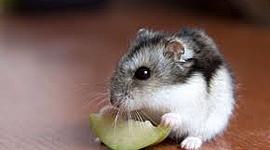 Timeline: cambio de siglo