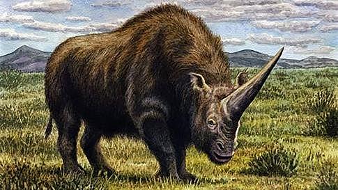 Mammutite ja karvaste ninasarvikute väljasuremine