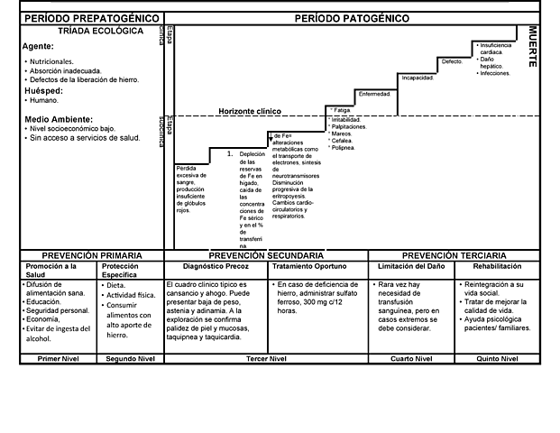 MODELO DE HISTORIA NATURAL DE LA ENFERMEDAD