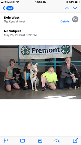 state dog show with Polar