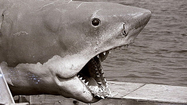 Jaws