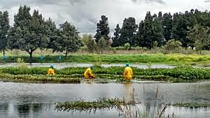 Objetivos y principios de la Política de Humedales del Distrito Capital
