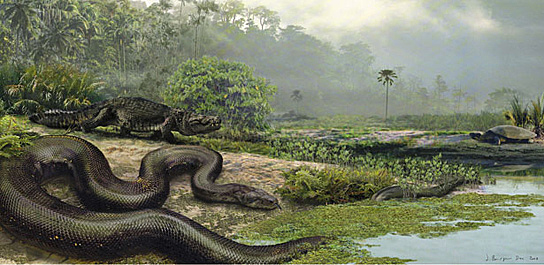 Kriit - Esimesed roomajad