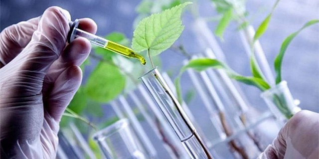 Exploradores y colonizadores del siglo XVI