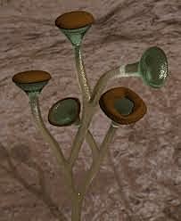 Ordoviitsium - Esimesed maismaataimed