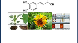 Timeline: Farmacognosia: breve historia de sus orígenes y su relación con las ciencias médicas.